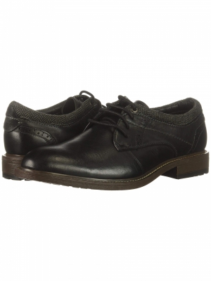 Steve Madden Lace-up shoes