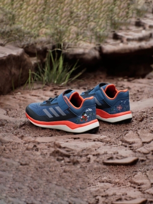 Adidas Terrex Disnay Trail Running Shoes